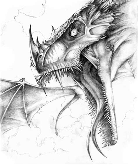 dragon sketch reference|really cool dragon drawings.